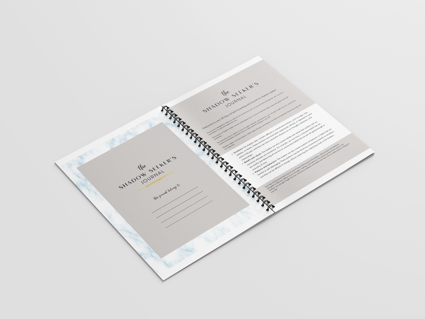 The Shadow Seeker's Journal: 30 Days of Self-Coaching and Growth